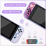 Carrying case for nintendo